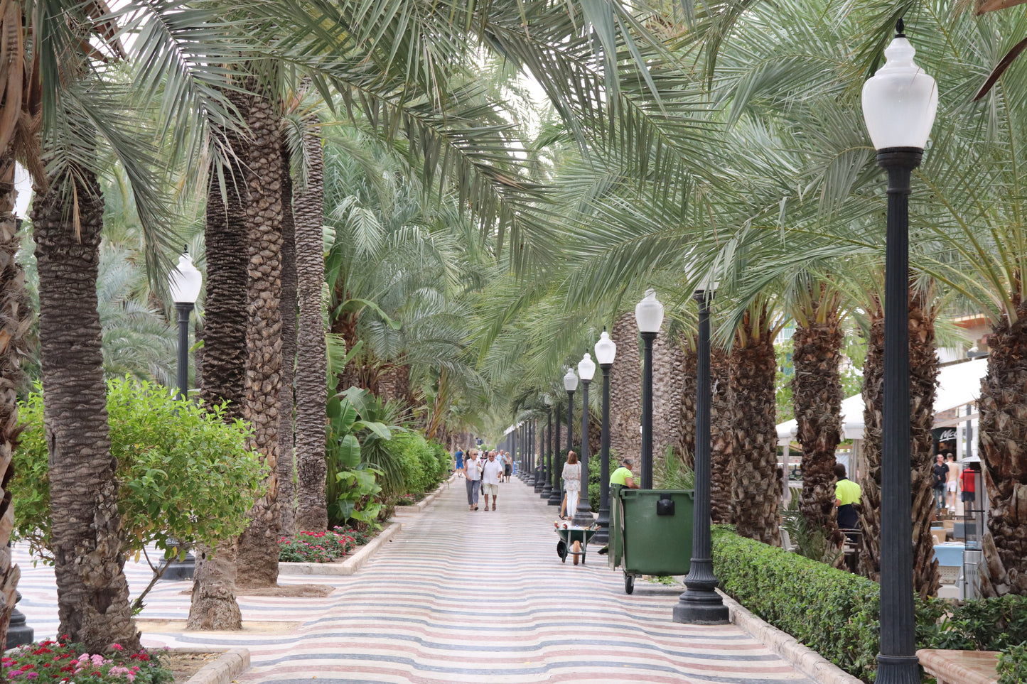 Palm-Lined Path – Esplanada de España, Alicante