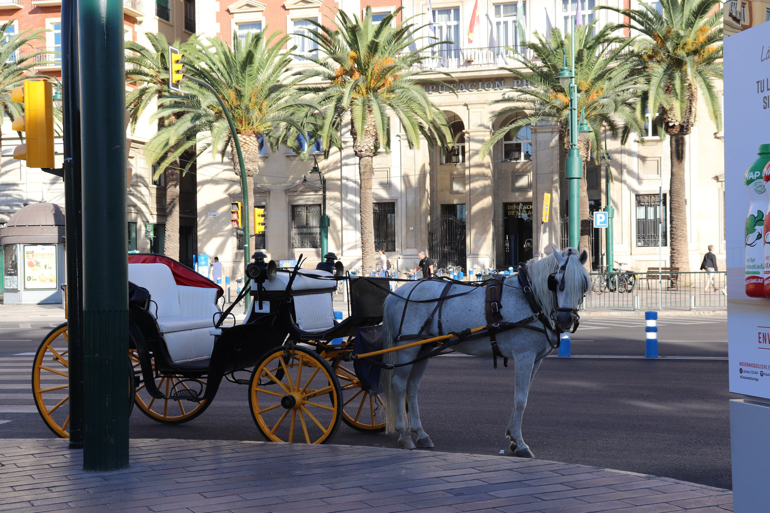 Horse Carriage – Málaga, Spain