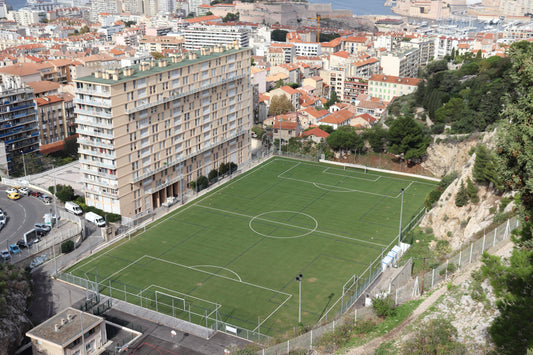 Stade Francis Di Giovanni – Fine Art Print