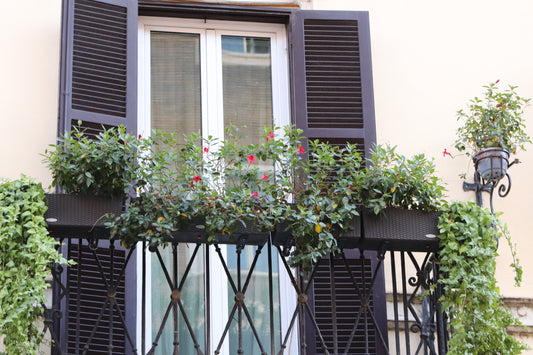 Hotel Del Corso, Rome – Fine Art Architectural Print